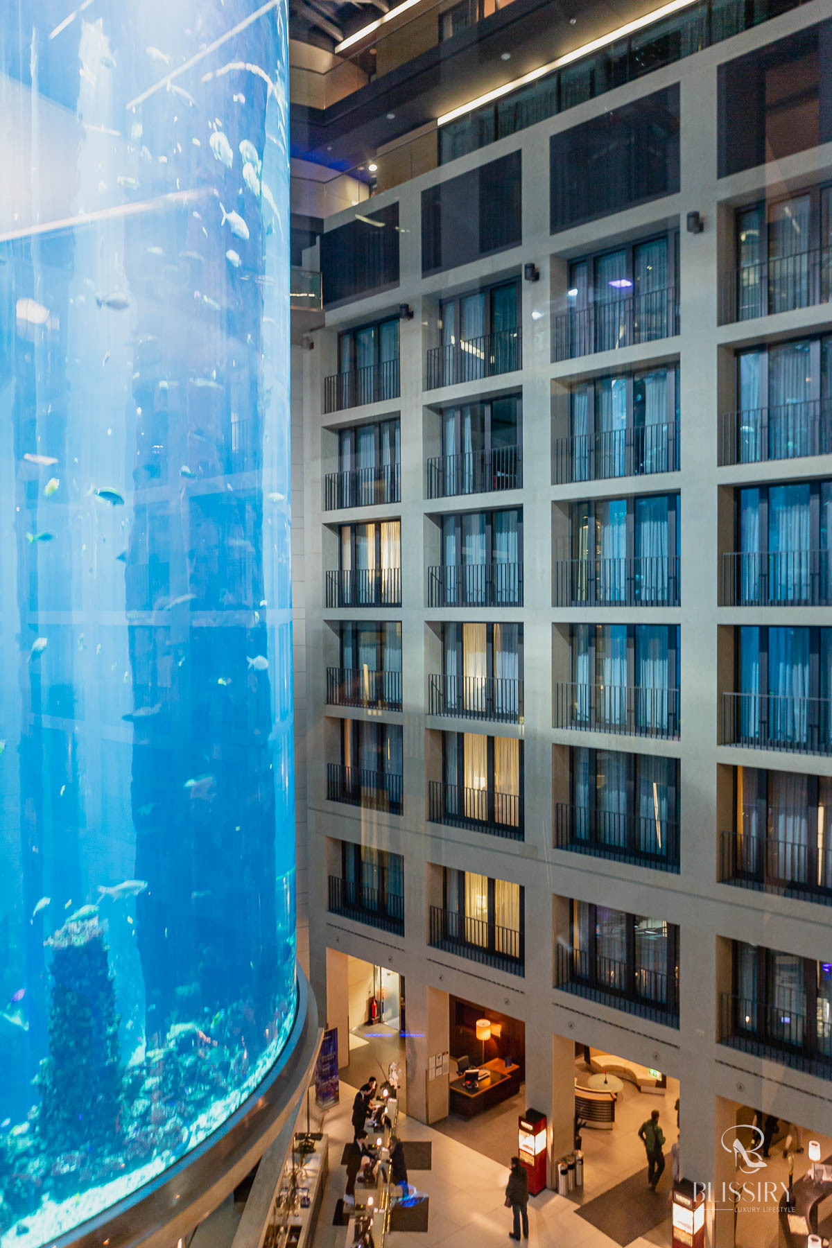 Aquadom Berlin - Heiraten im Aquarium Aufzug - eine besondere Hochzeitslocation - 1500 Fische als Trauzeugen
