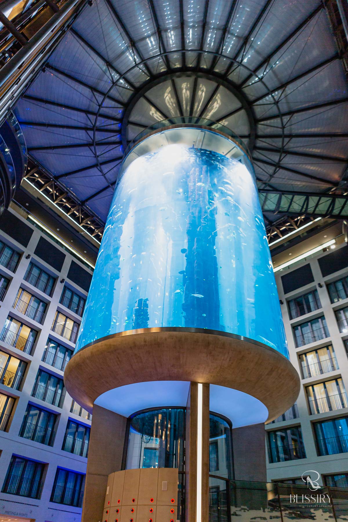 Aquadom Berlin - Heiraten im Aquarium Aufzug - eine besondere Hochzeitslocation - 1500 Fische als Trauzeugen