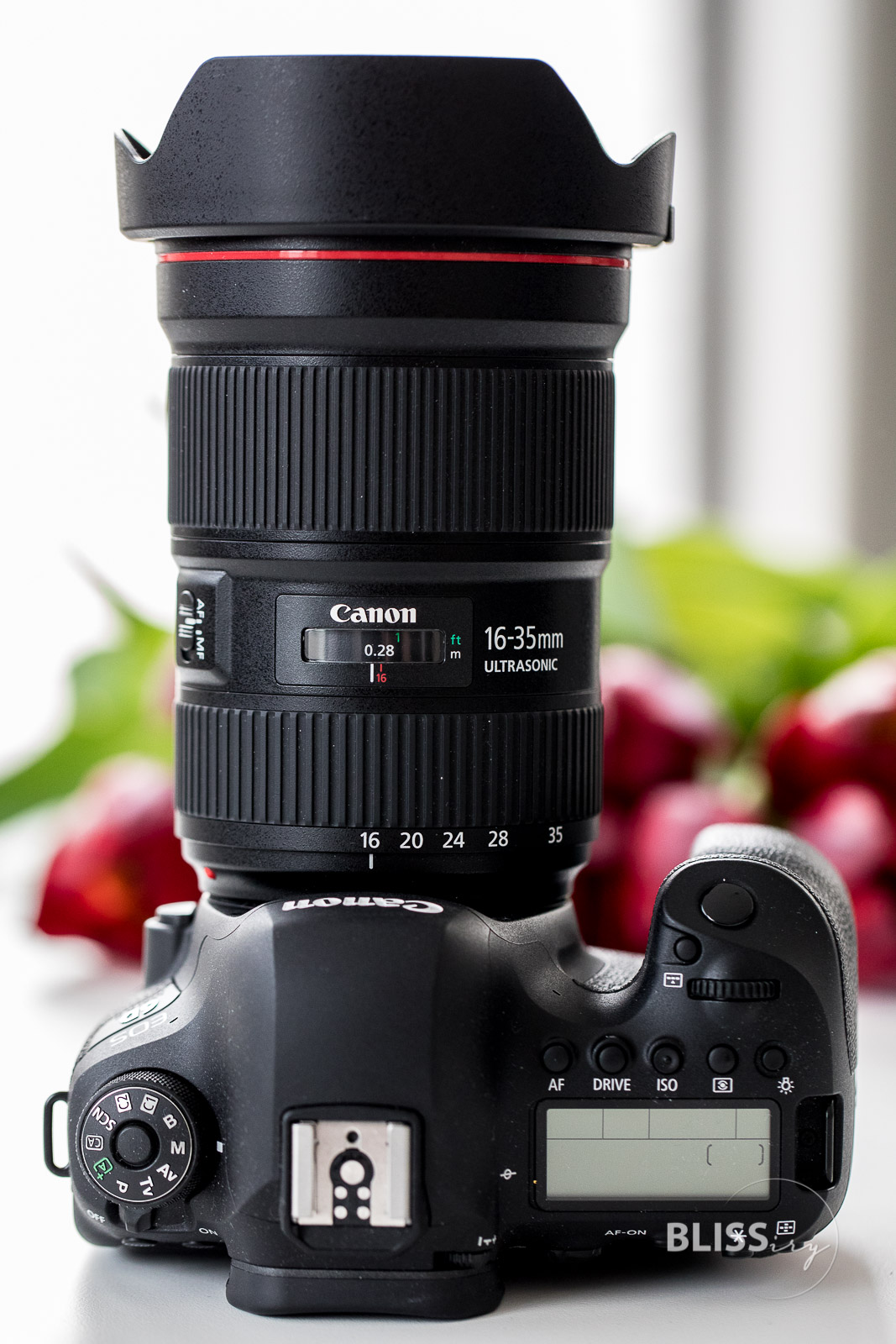 Canon EF 16-35 f/2.8 L III USM Objektiv im Test für Video und Foto - Fotoblog und Videoblogger - VanessaPur