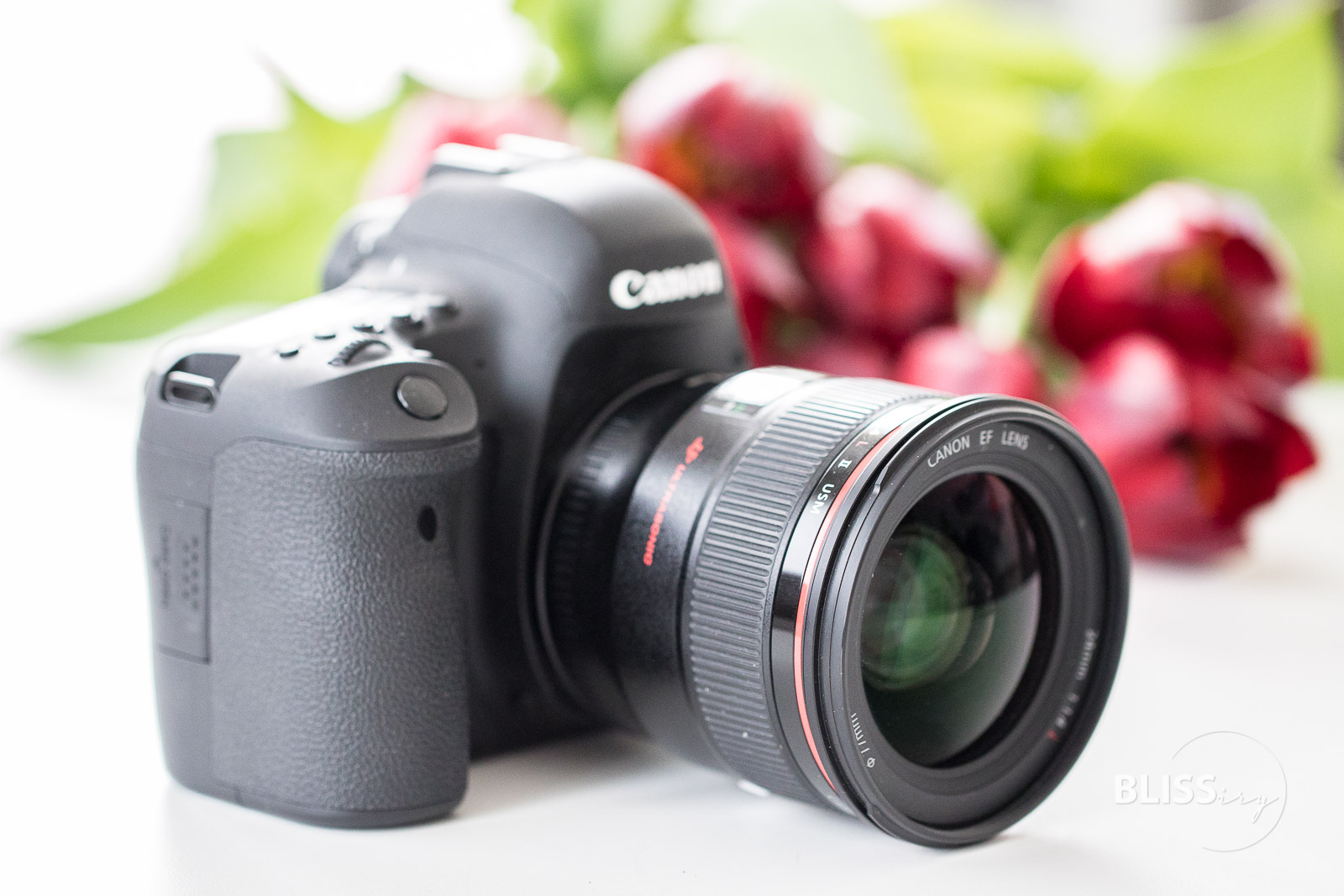 Canon EF 24mm f/1.4L II Objektiv im Test - Das perfekte Video-Objektiv?
