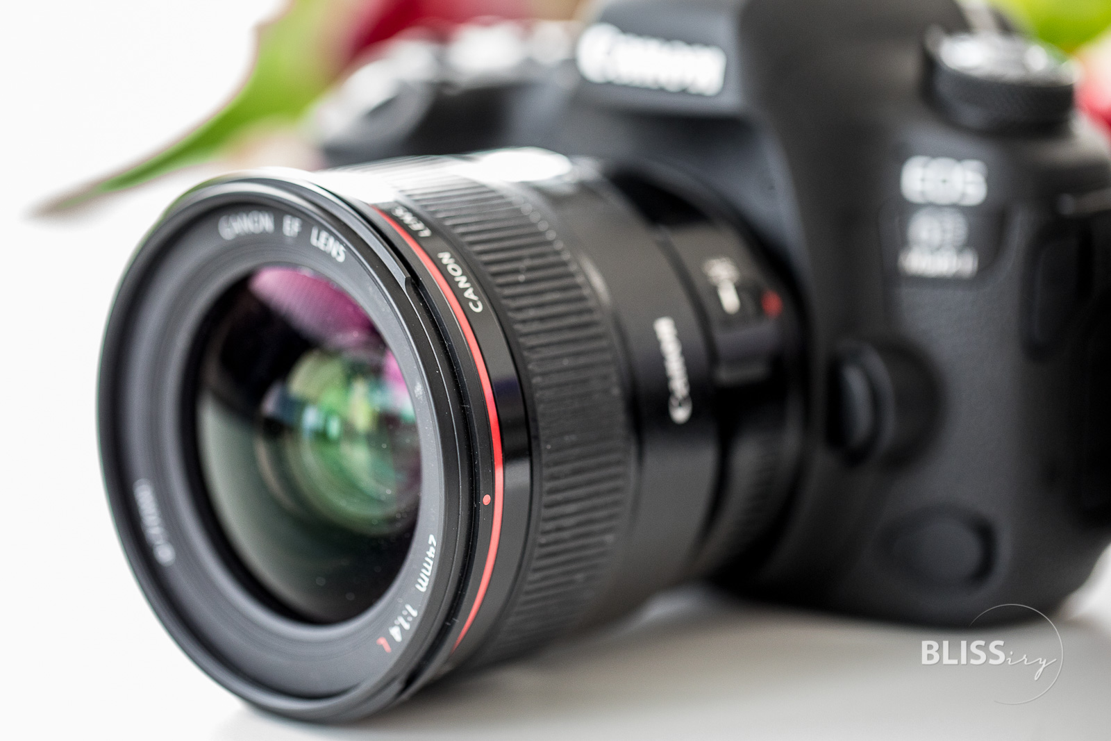 Canon EF 24mm f/1.4L II Objektiv im Test - Das perfekte Video-Objektiv?