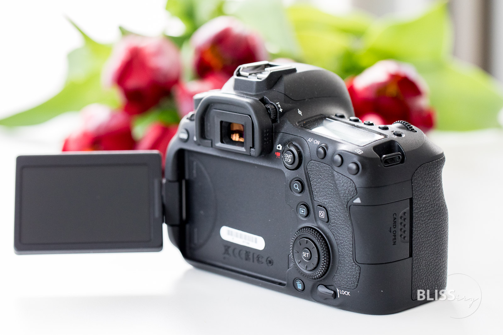 Canon 6D Mark II im Langzeittest - wie gut ist die Vollformat-Kamera von Canon für Fotografen, Vlogger und YouTuber? Lohnt sich der Umstieg? Welche Alternativen gibt es?