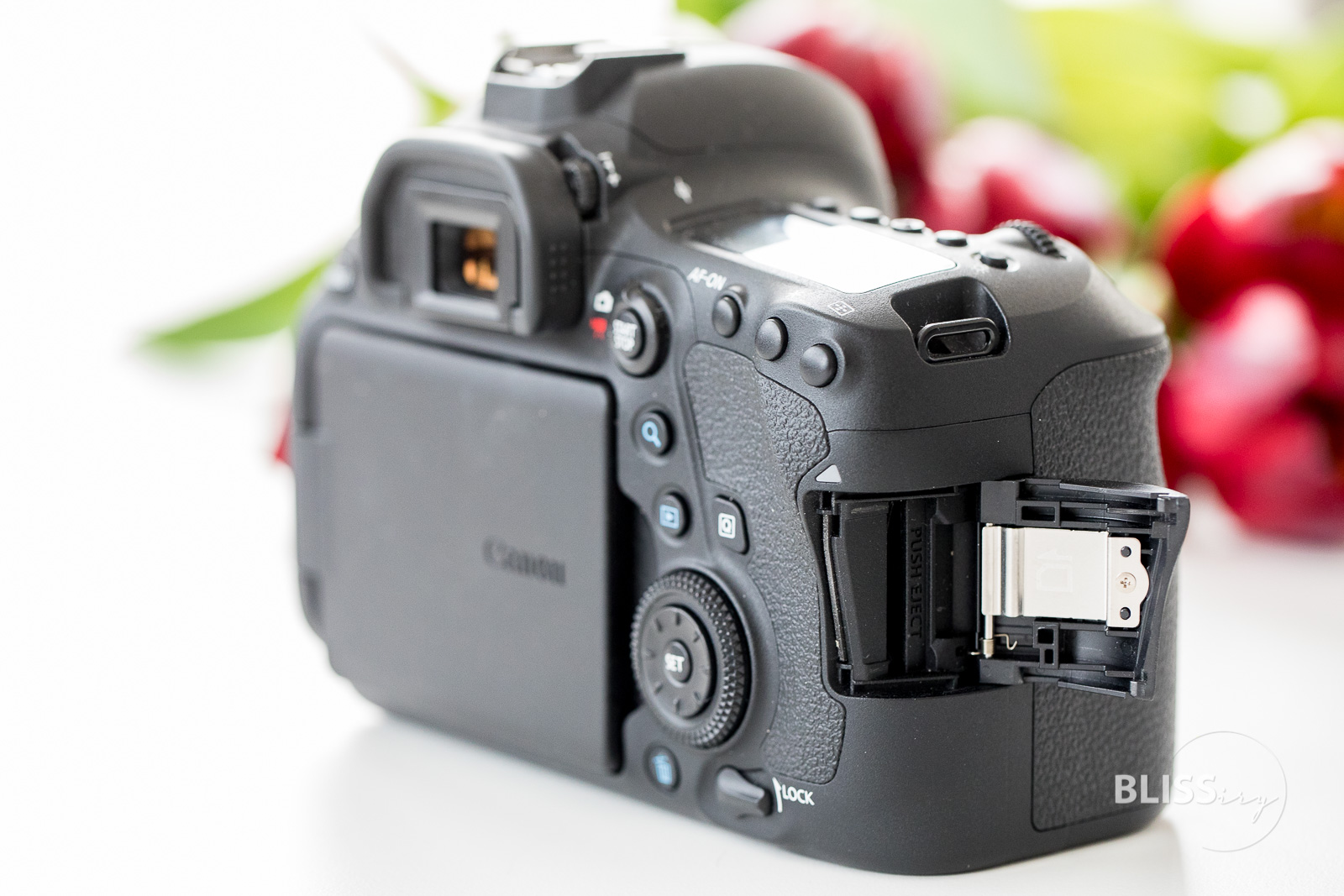 Canon 6D Mark II im Langzeittest - wie gut ist die Vollformat-Kamera von Canon für Fotografen, Vlogger und YouTuber? Lohnt sich der Umstieg? Welche Alternativen gibt es?